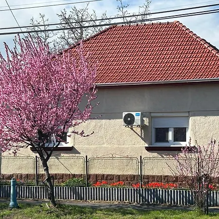 Diana-vendeghaz Poroszló